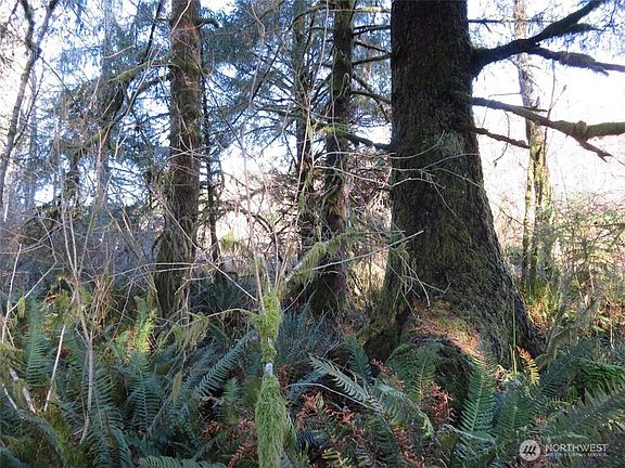 3rd image of 1478 XXX E Hoquiam Road