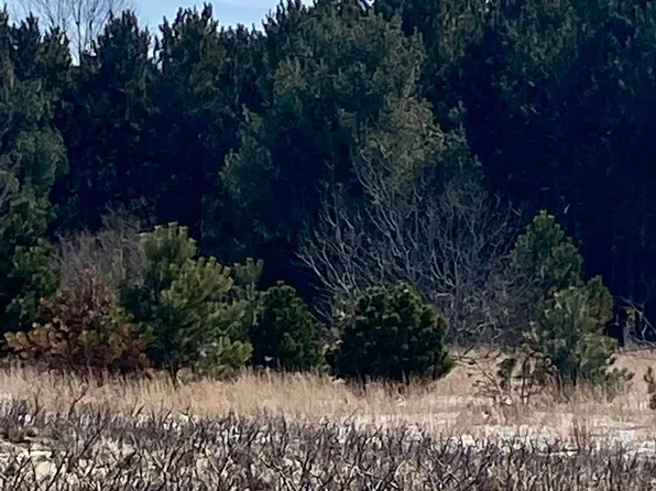 7430 Rapid City Rd NW, Rapid City, MI 49676