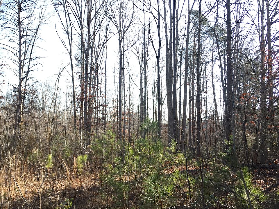 2nd image of Bancroft Rd