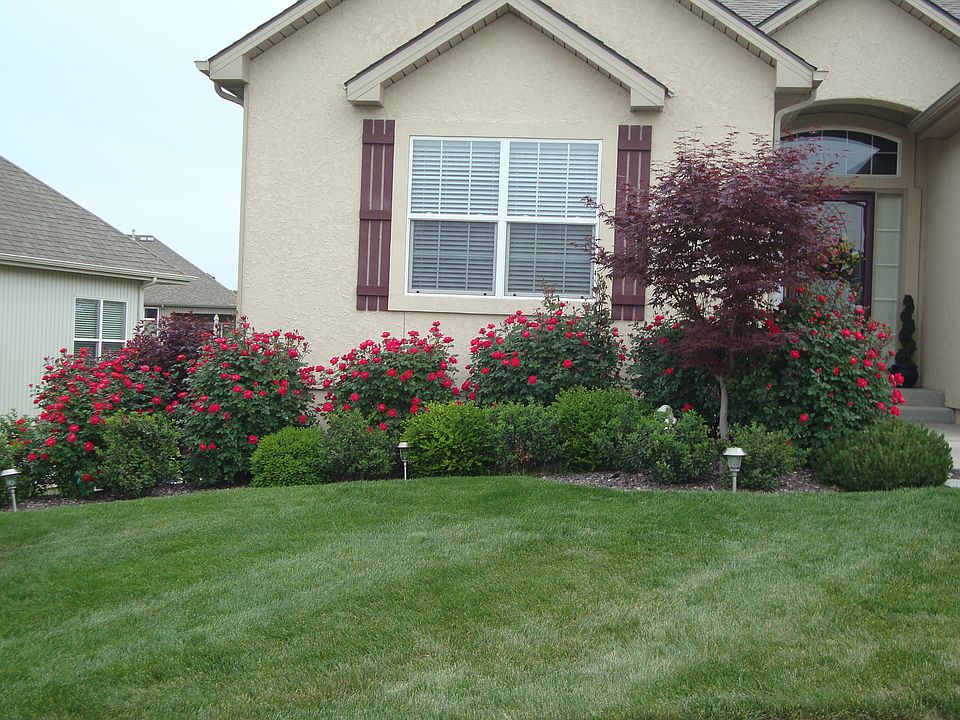 305 Alexander Creek Ct