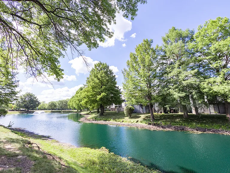 Tranquil Pond at Woodlake Apartments
