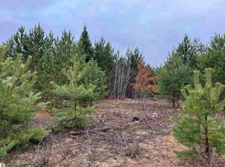 10299 Levi Ln, Kingsley, MI 49649