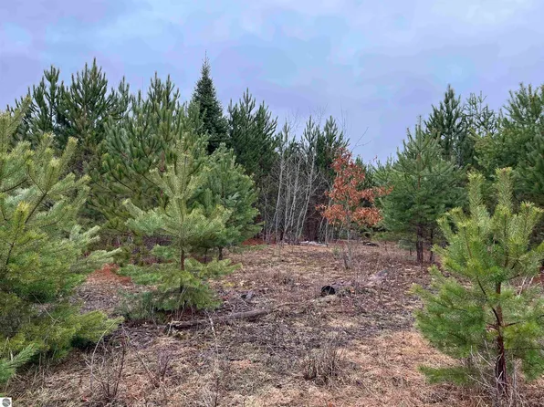 10299 Levi Ln, Kingsley, MI 49649