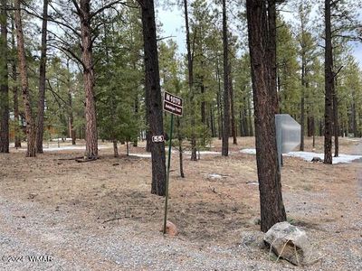 41 N 1068th St, Greer, AZ, 85927