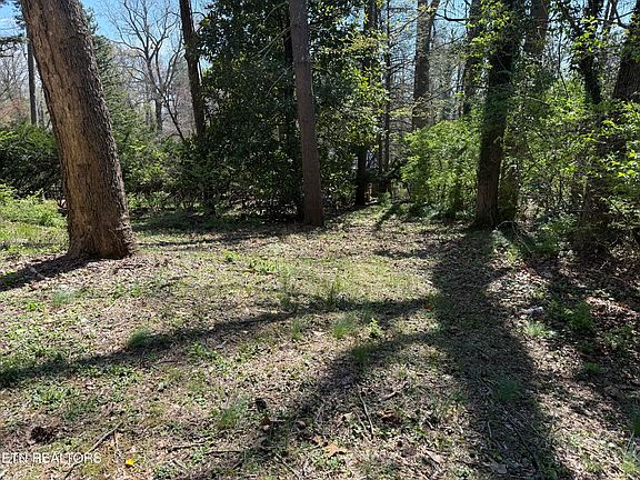 2nd image of 313 W Outer Dr