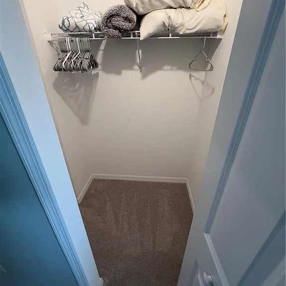2806 Blossom Way — Photo 32