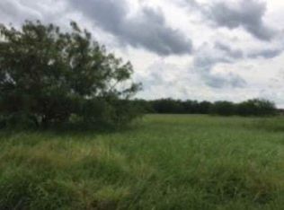 611 S Minnesota Rd, Palmview, TX 78572