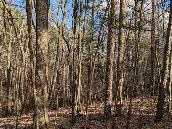 2309 Yanoo Trce Lot 2309, Big Canoe, GA 30143