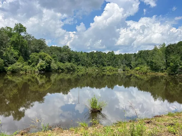 County Road 40, Abbeville, AL 36310