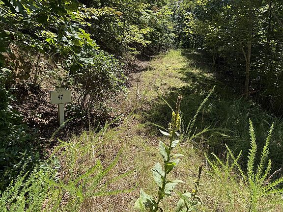 3rd image of 47 N Nickajack Rd
