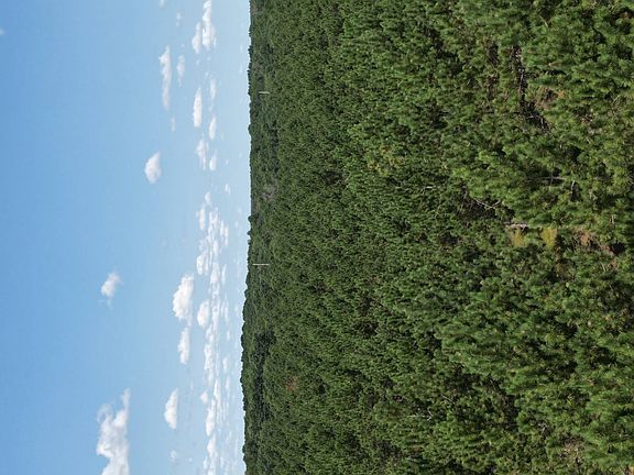 3rd image of 5 Hidden Trl