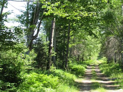 County Fl Rd, Champion, MI, 49814