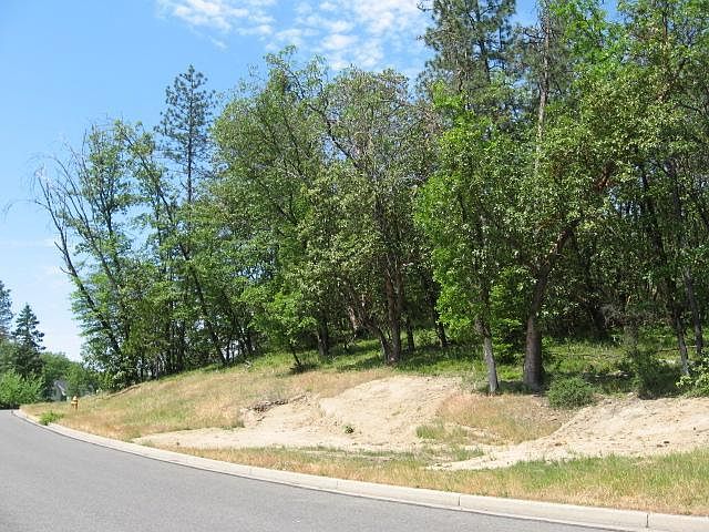 2nd image of 2305 Haviland Dr