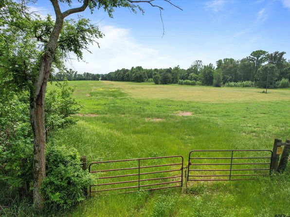 Hyena Rd, Gilmer, TX 75644