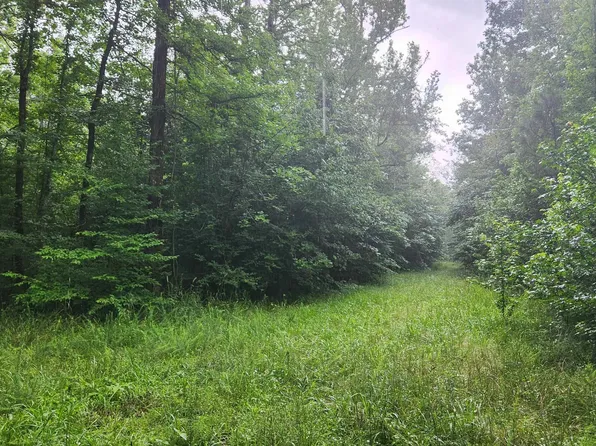 Markerville Rd, Story, AR 71970