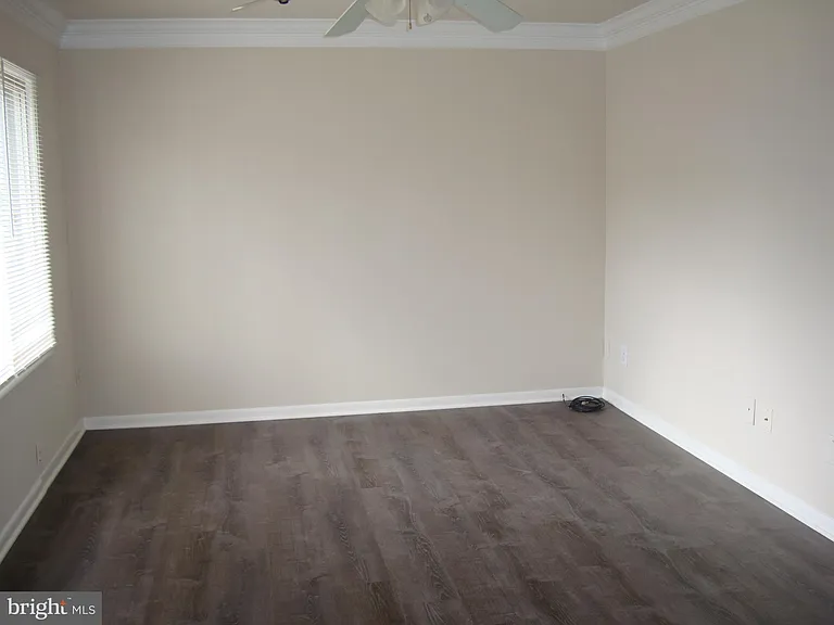 204 Cameron St — Photo 3
