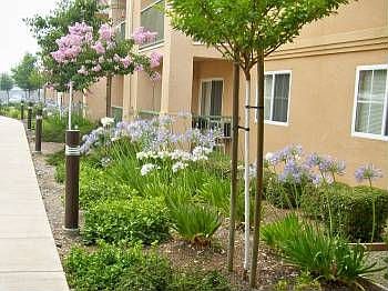 1st image of 2501 Red Bud Ln APT E11