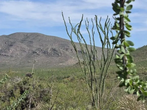 TBD E Windmill Road #-, Tombstone, AZ 85638