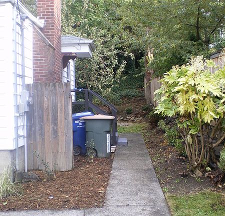 side yard w/ entrance off kitchen