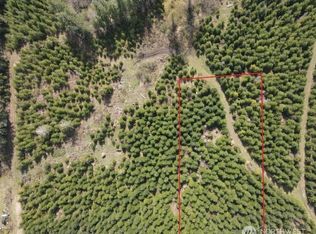 35 Foreman Rd, McCleary, WA 98557