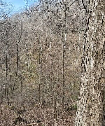 5th image of 2231 Fox Fire Rd