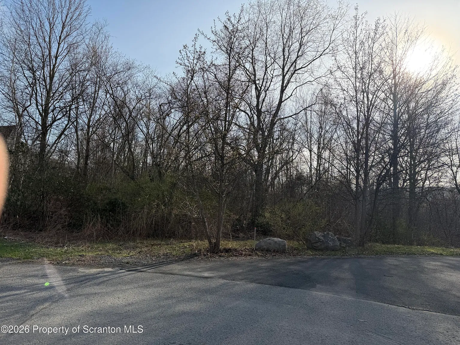 Pine Street & Laurel Dr photo 1