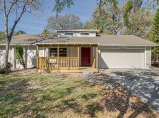 213 Pinecrest Rd, Mount Dora, FL 32757