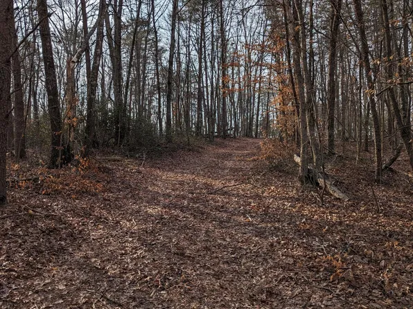 0 Bar Ridge Rd, Penhook, VA 24137