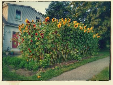 335 Rope Ferry Rd, Waterford, CT, 06385