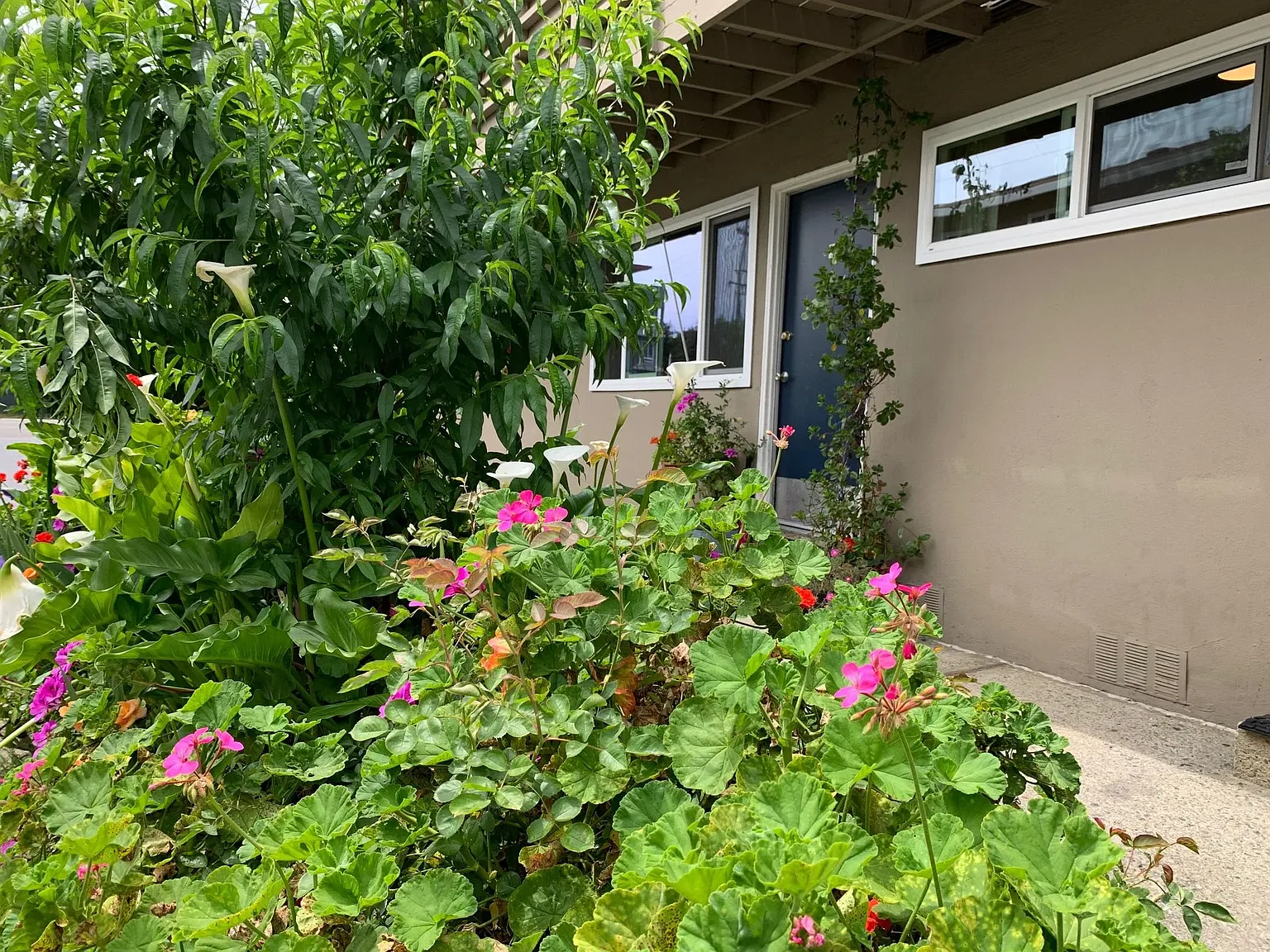 240 Ortega Avenue — Photo 3