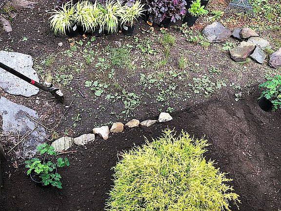 Mostly native plantings