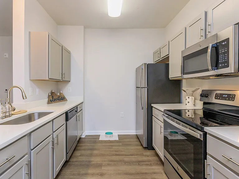 Riverstone Apartments at Long Shoals — Photo 74