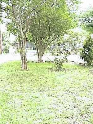 5th image of 217 ANNIE ST