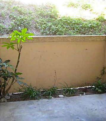 2nd image of 12023 Alta Carmel Ct Unit 249