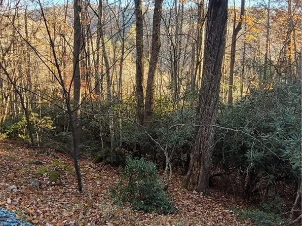 251 Poplar Drive, Beech Mountain, NC 28604