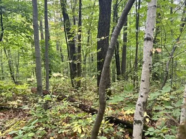 Opal Ln, Cushing, MN 56443