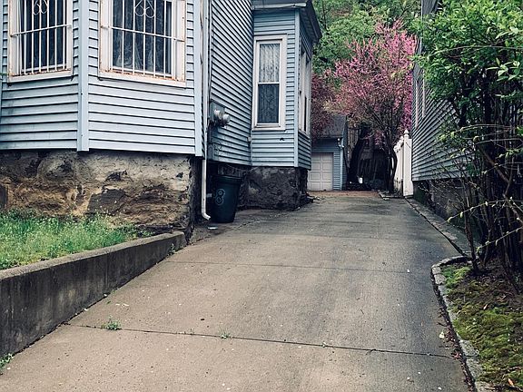 Driveway and flowering tree