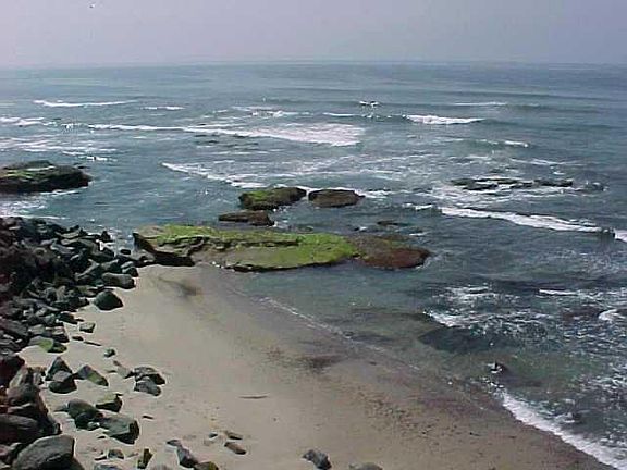 2nd image of 4878 Pescadero Ave Unit 305