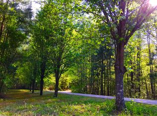 461 Spring Meadows Ave, Dallas, GA 30157