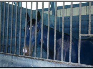 20913 Mount Zion Rd, Freeland, MD 21053