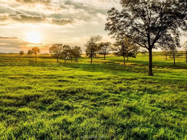 Sunny Meadow Lot 22 Dr, Chappell Hill, TX 77426