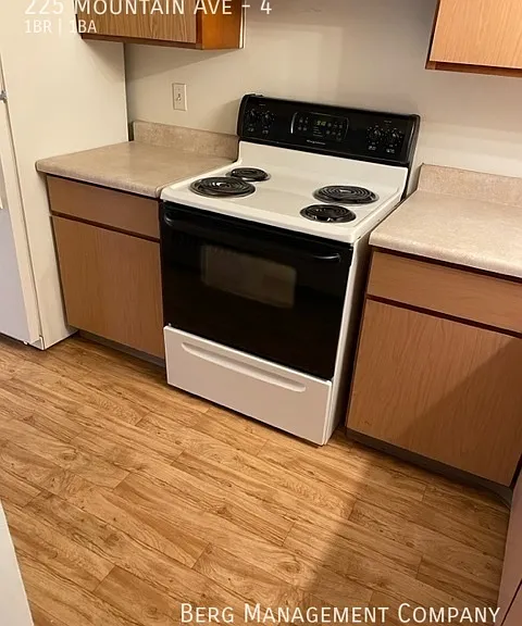 225 Mountain Ave #4 — Photo 1