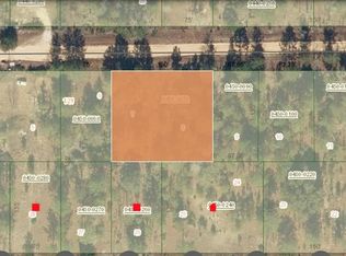 Xx Panama St LOT 7, Interlachen, FL 32148