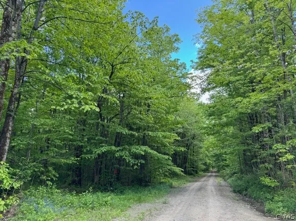 Harris Rd Lot 4, Cincinnatus, NY 13040