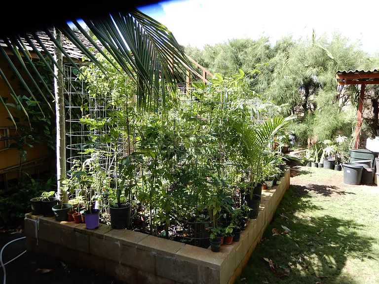 270 Auhana Rd — Photo 5