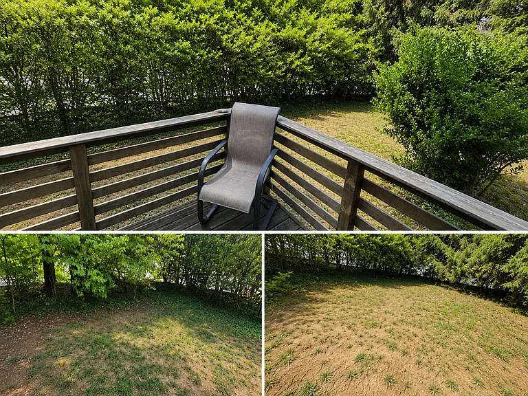 Front deck and yard