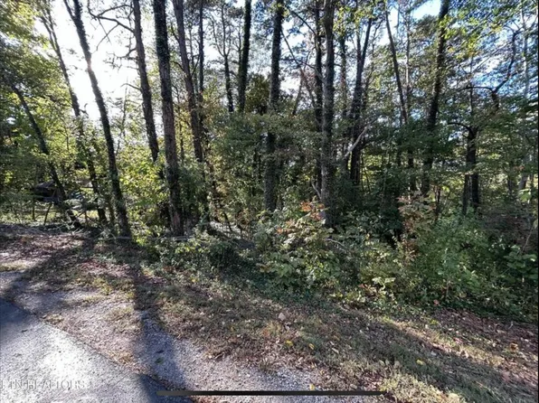 218 Oostanali Way, Tellico Plns, TN 37774