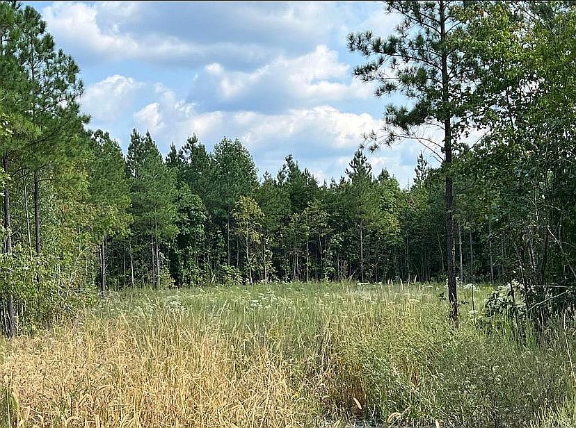 2nd image of Wheeler Rd Lot 9