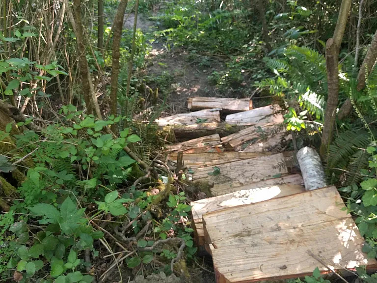 "stairs" for creek access on narrow end of lot opposite of the trailer
