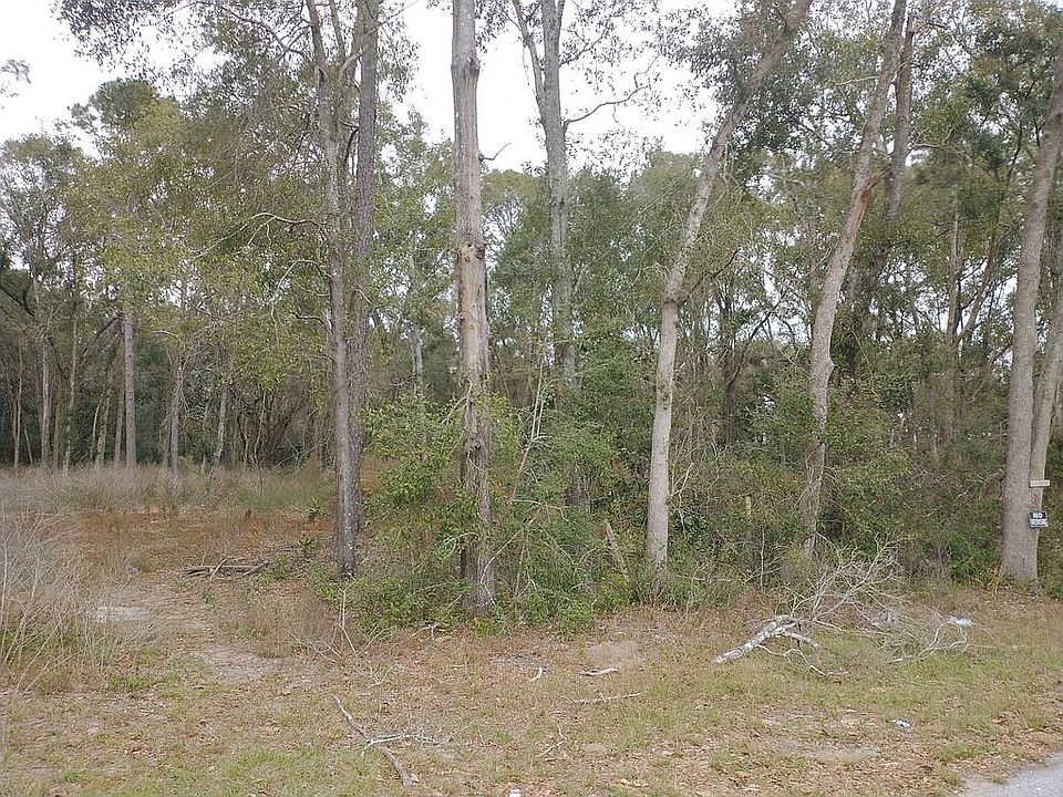 2nd image of 1600 Toni St